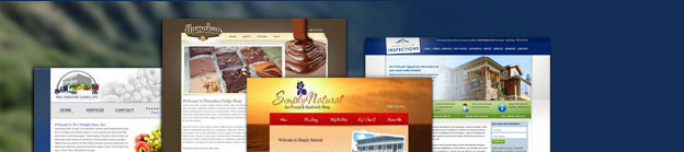 Hawaii Website Design banner for Infinity Consulting